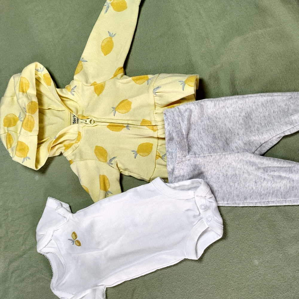9 Piece Carter's Newborn Girl Clothing with Floral Dress and Onesies - Picture 9 of 16